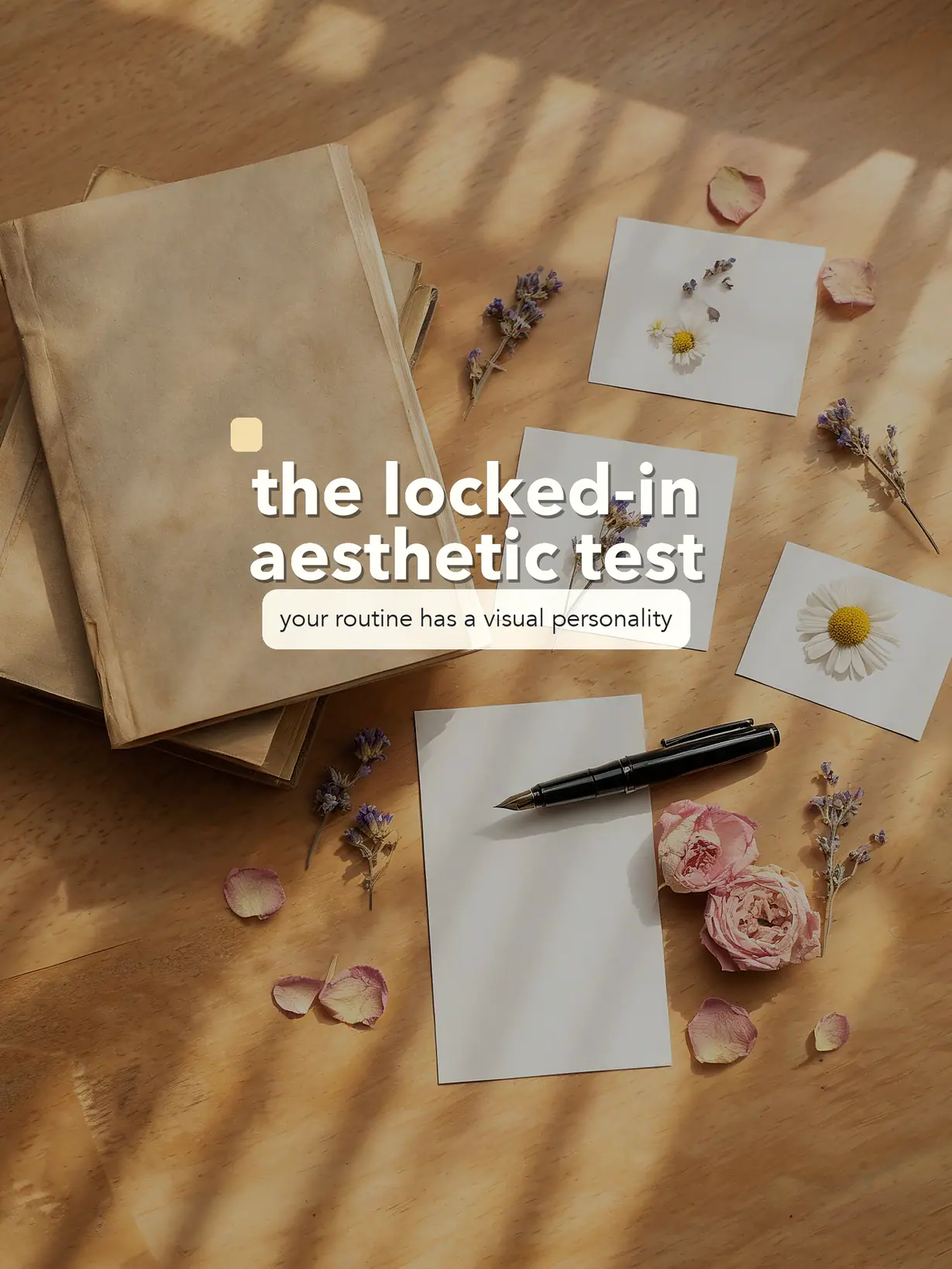 Which Locked-In Aesthetic Are You?